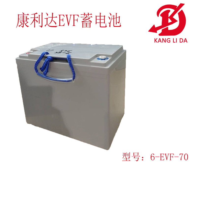 <b>老年車電池專用6-EVF7</b>